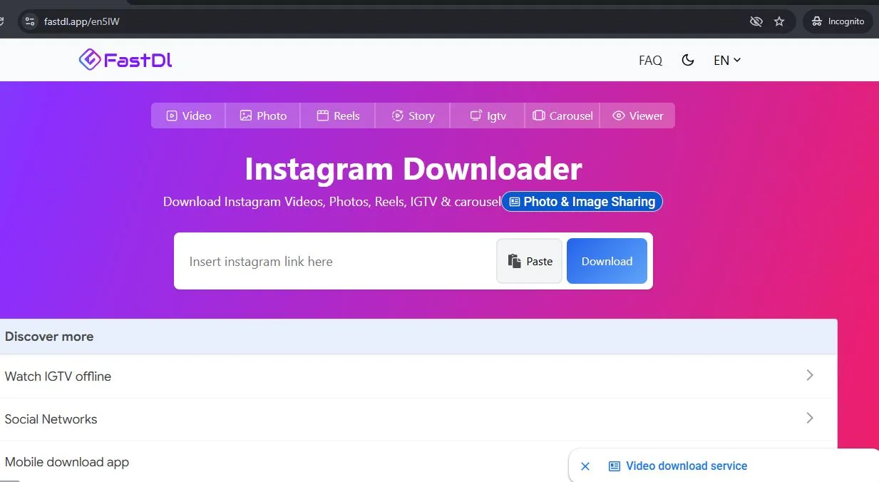 FastDL Instagram Reels Stories and video downloader