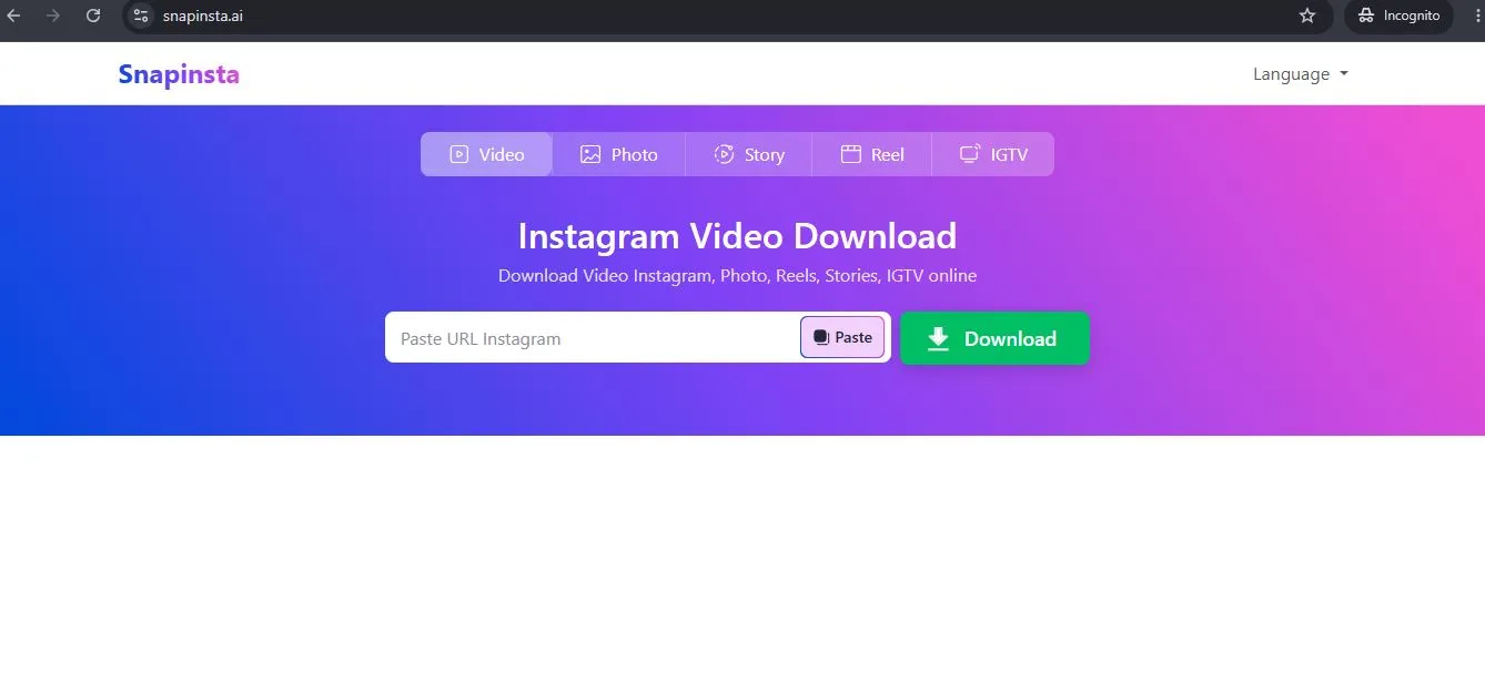 SnapInsta free Instagram Reels and video downloader