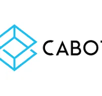 Cabot Solutions Infopark